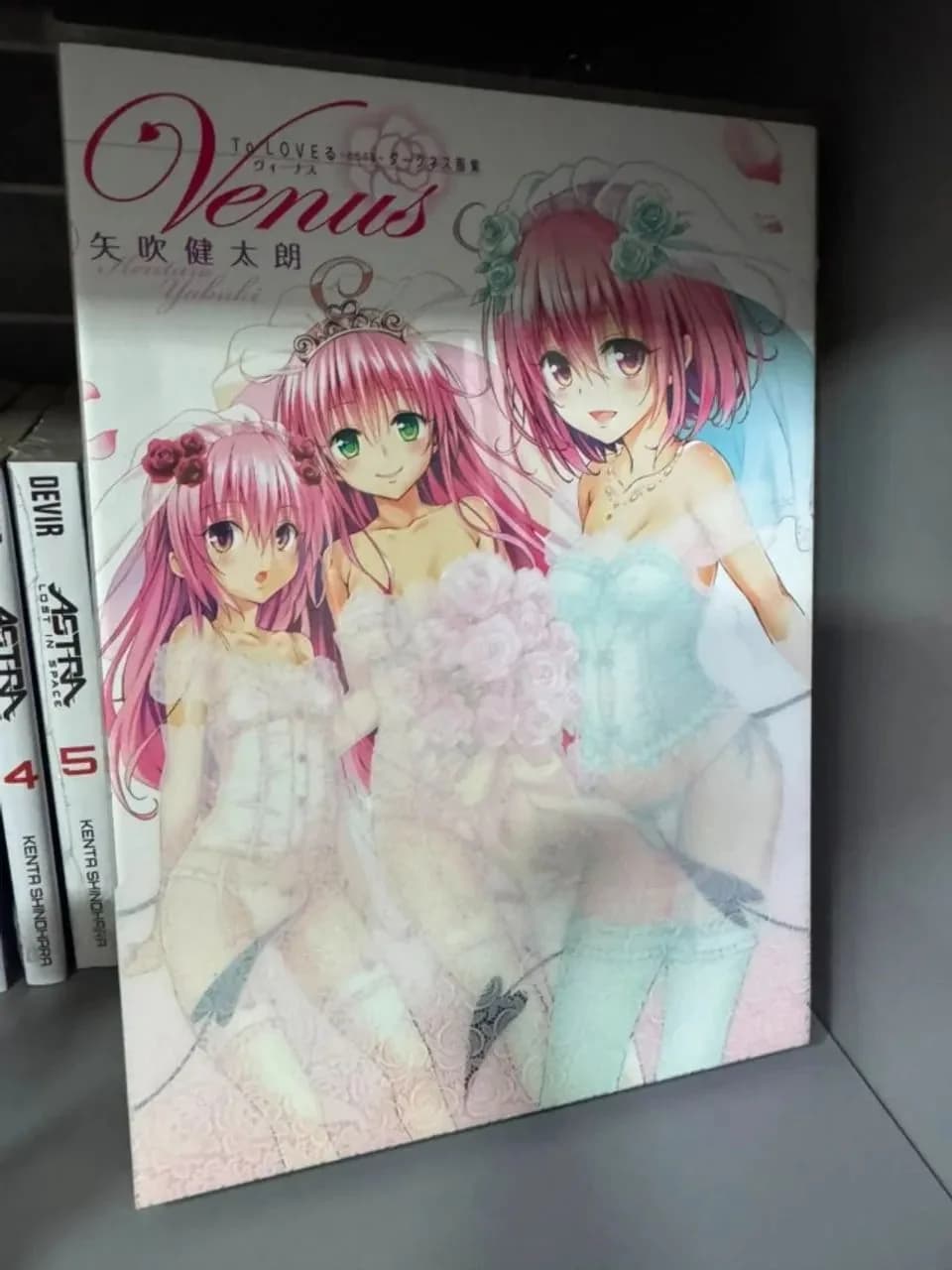 To LOVE-Ru Darkness Illustration Collection: Venus